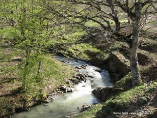 Biviere_Cesaro - 27-04-2014 17-08-16.jpg